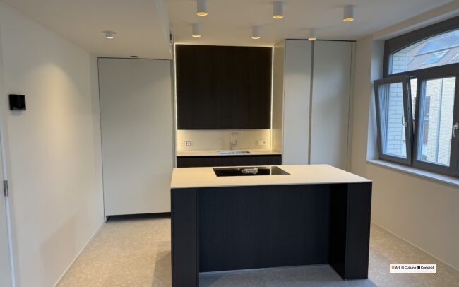 contraste du corian, façades laquées et bois sombre